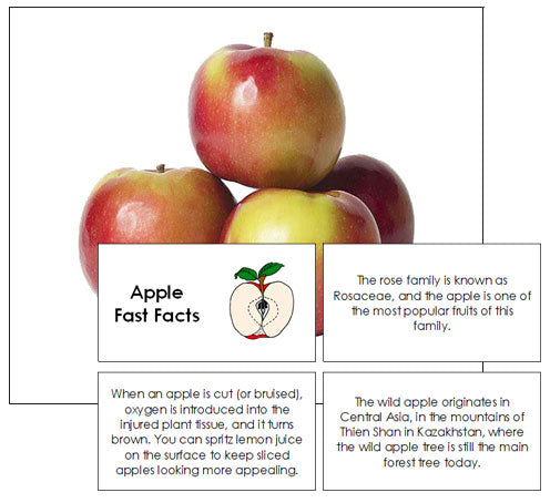 Apple Fast Facts