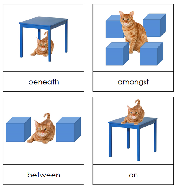 Preposition Cards - Montessori Print Shop