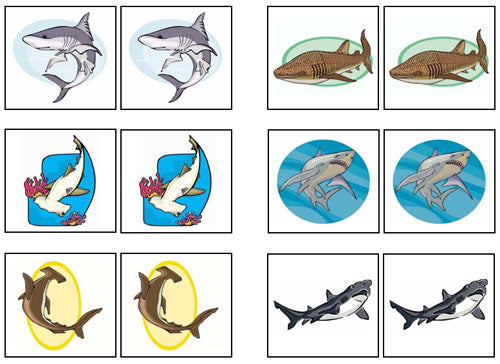 Shark Facts Memory Game: Playing Match Games to Make Learning Fun