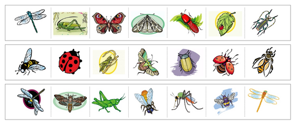 insects chart