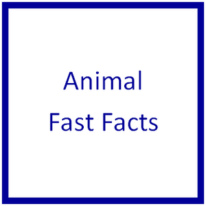 Animal Fast Facts