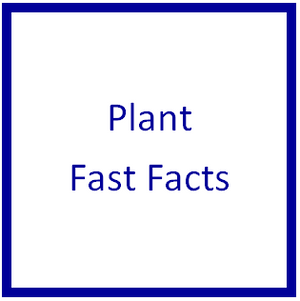 Plant Fast Fact Cards by Montessori Print Shop