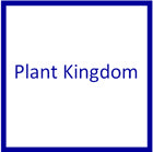 Plant Kingdom