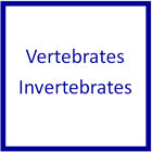 Vertebrates & Invertebrates