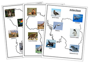 Animals of the Continents (FRENCH) - Montessori Print Shop