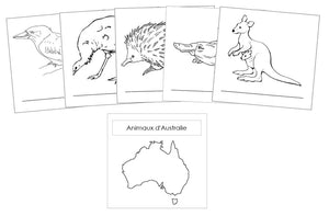 animaux des continents - Montessori Print Shop