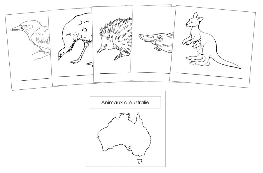 animaux des continents - Montessori Print Shop