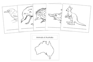 Animals of the Continents Blackline Masters - Montessori Print Shop Geography