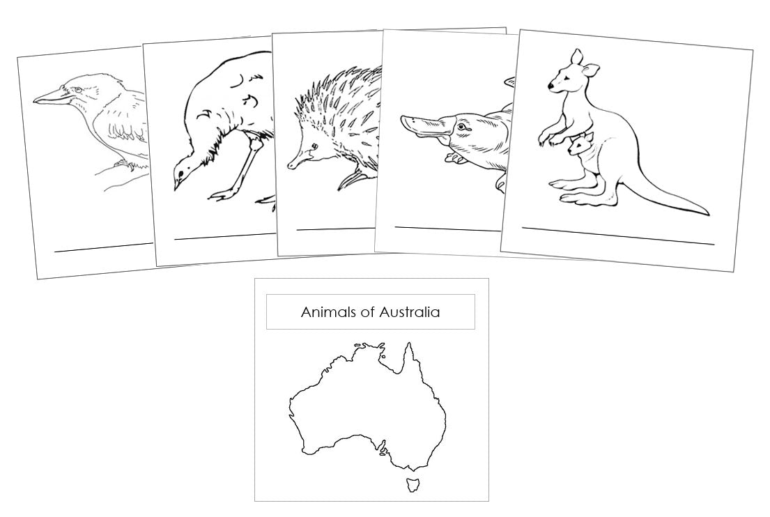 Animals of the Continents Blackline Masters - Montessori Print Shop Geography