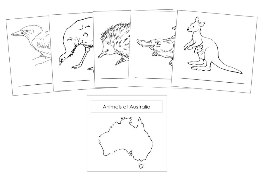 Animals of the Continents Blackline Masters - Montessori Print Shop Geography