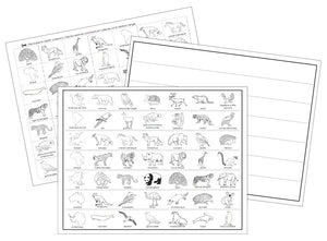 Animals of the Continents Sorting - Montessori Print Shop