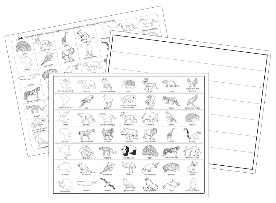 Animals of the Continents Sorting - Montessori Print Shop