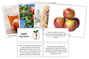 Apple Fast Facts & Pictures - Montessori Print Shop