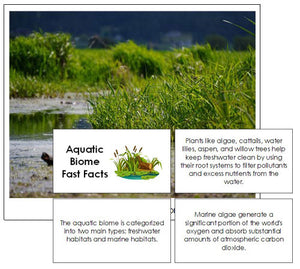 Aquatic Biome Fast Fact Cards and Pictures by Montessori Print Shop