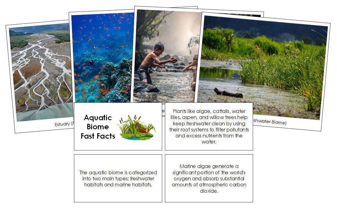 Aquatic Biome Fast Fact Cards and Pictures by Montessori Print Shop