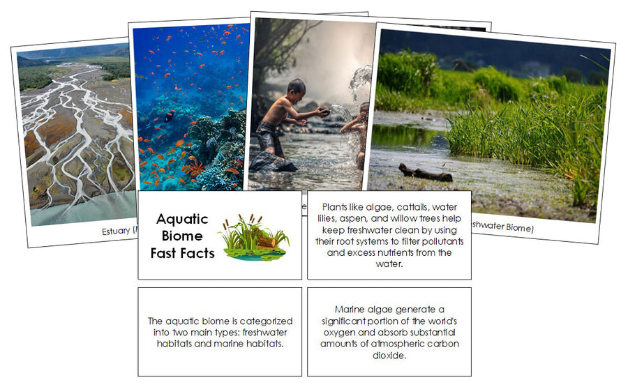 Aquatic Biome Fast Fact Cards and Pictures by Montessori Print Shop