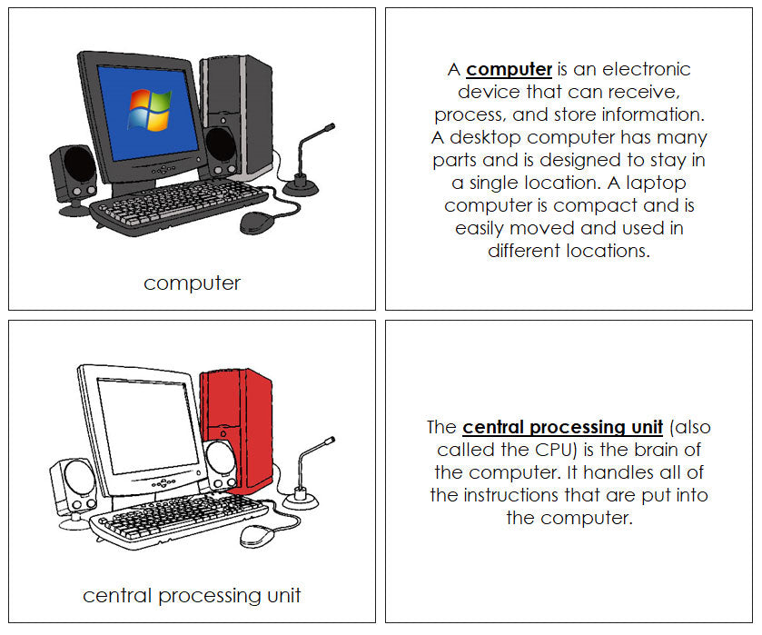 Parts of a Computer Worksheet