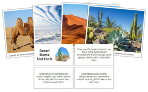 Desert Biome Fast Facts and Pictures - Montessori Print Shop