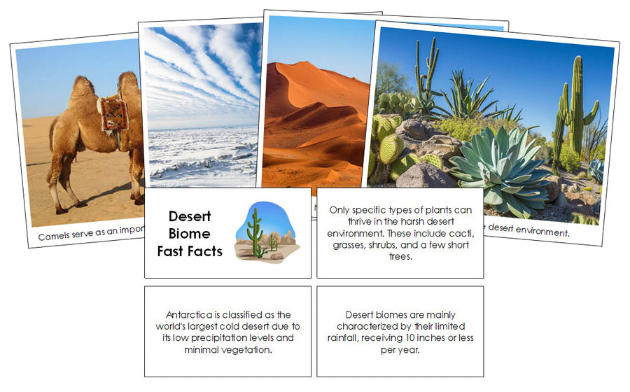 Desert Biome Fast Facts and Pictures - Montessori Print Shop