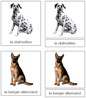 French - Dogs - Les cartes de chien - Montessori Print Shop