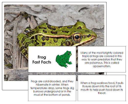 Frog & Toad Picture Cards - Montessori Print Shop - Montessori Print ...