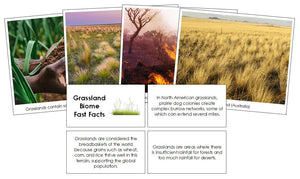 Grassland Biome Fast Facts and Pictures by Montessori Print Shop