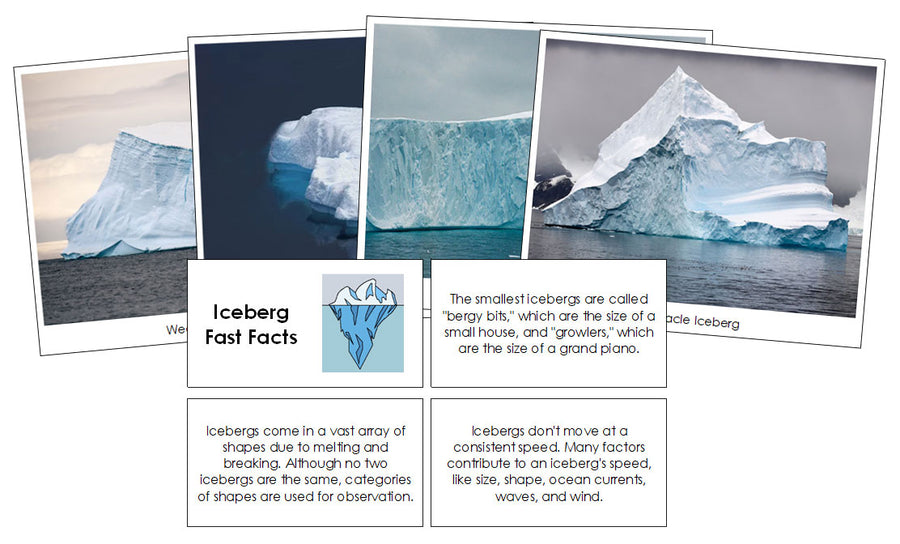 Iceberg Fast Facts & Pictures - Montessori Print Shop