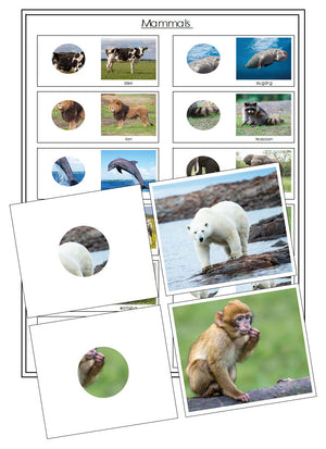 Mammals Part to Whole Matching - Montessori Print Shop