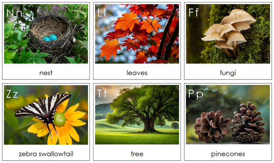 Phonetic Nature Alphabet Cards - by Montessori Print Shop