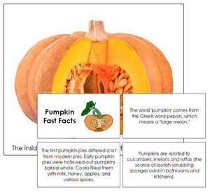 Pumpkin Fast Facts & Pictures - Montessori Print Shop