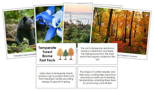 Temperate Forest Biome Fast Facts and Pictures by Montessori Print Shop