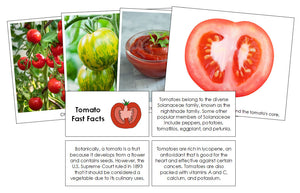 Tomato Fast Facts & Pictures - Montessori Print Shop