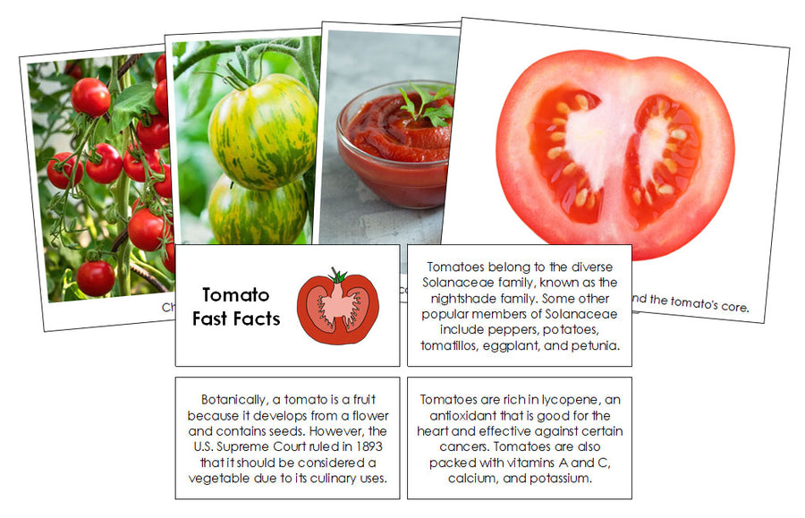 Tomato Fast Facts & Pictures - Montessori Print Shop