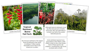 Tropical Rainforest Biome Fast Facts and Pictures by Montessori Print Shop