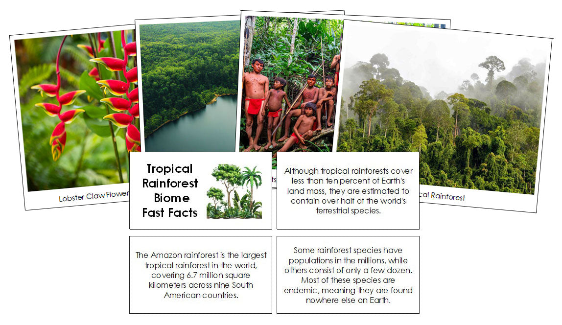 Tropical Rainforest Biome Fast Facts and Pictures by Montessori Print Shop