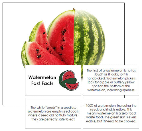 Watermelon Fast Facts & Pictures - Montessori Print Shop