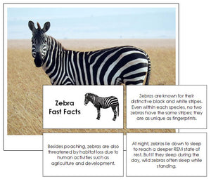 Zebra Fast Facts & Pictures - Montessori Print Shop