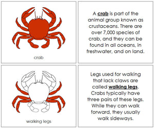 Parts of a Crab Nomenclature Book (red) by Montessori Print Shop