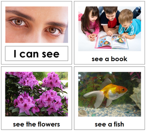 Montessori Toddler Five Senses Book