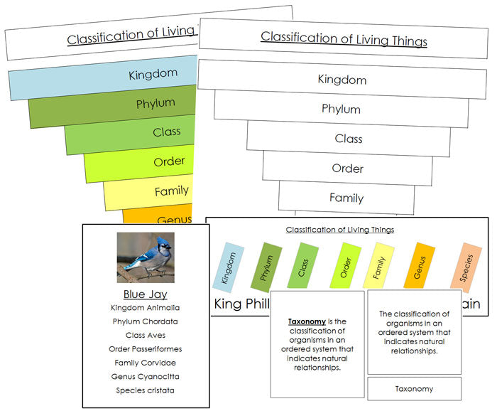 Six Kingdoms of Life Classification Concepts - Montessori Print Shop