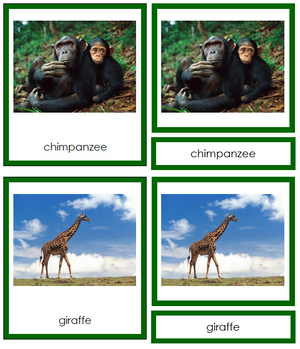 African Animals (color-coded) - Montessori Print Shop