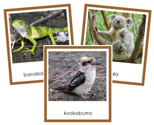 Australian/Oceanian Animals - Montessori geography cards