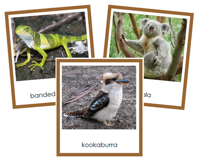 Australian/Oceanian Animals - Montessori Print Shop - Montessori Print ...