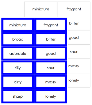 elementary grammar and language cards - Montessori