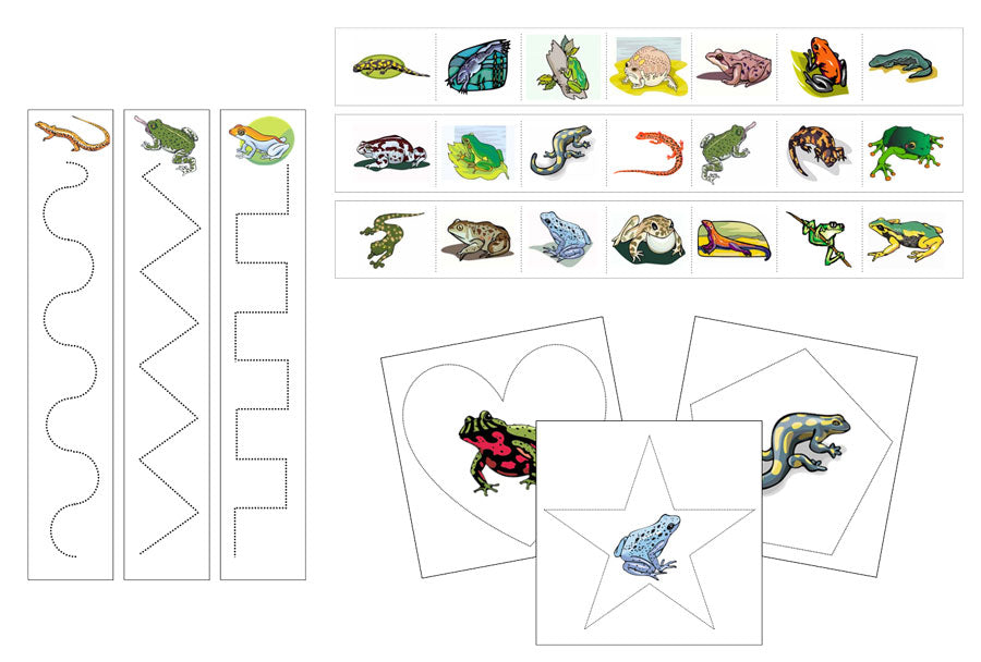 Amphibians Cutting Work - Preschool Activity by Montessori Print Shop