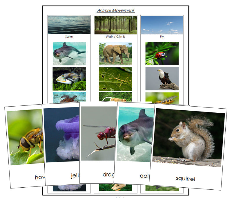 Animal Movement (Swim, Walk, Fly) - Montessori Print Shop zoology materials