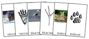 Animal Tracks - Montessori Print Shop zoology cards