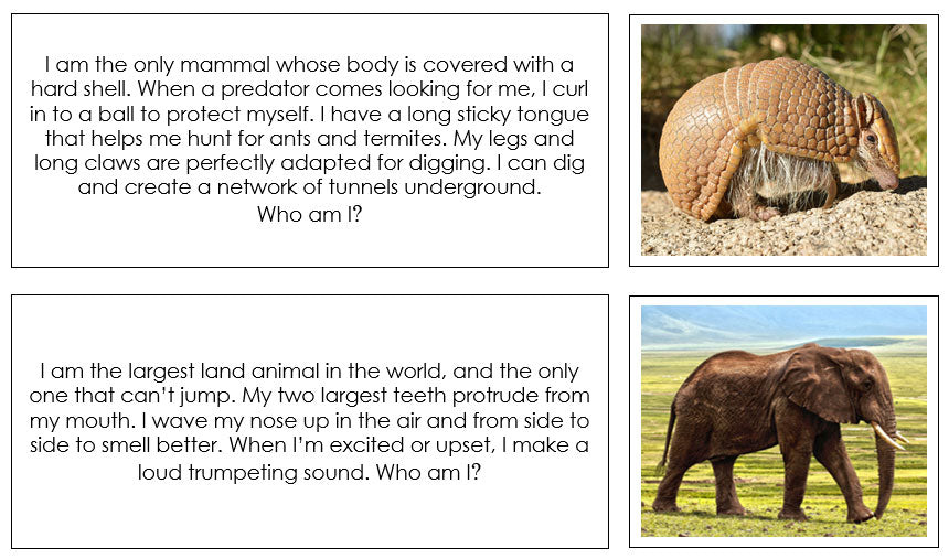 Animal Stories (Set 2) - Printable Montessori material by Montessori Print Shop