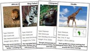 Animals of Africa Information Cards (color-coded) - Montessori Print Shop