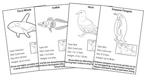Animals of Antarctica Information Cards Blackline Master Bundle - Montessori Print Shop